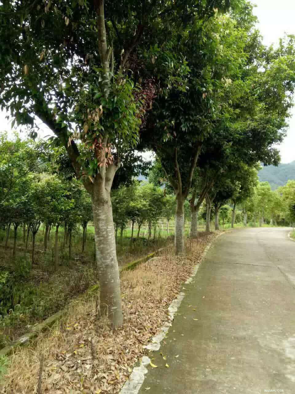 点击查看大图