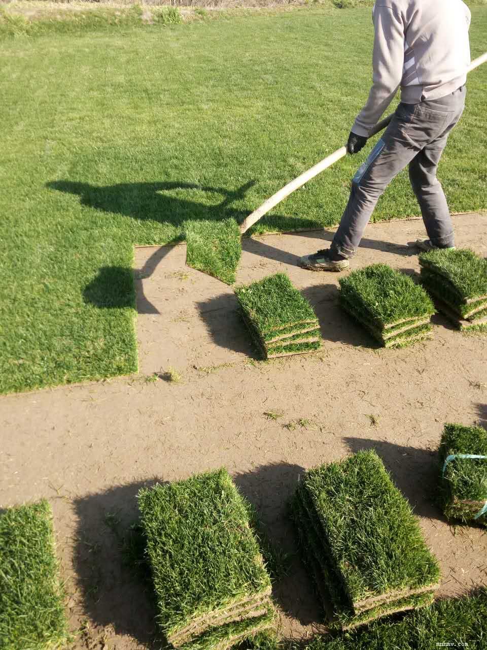 点击查看大图