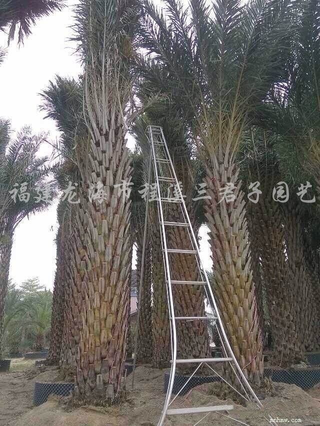 点击查看大图