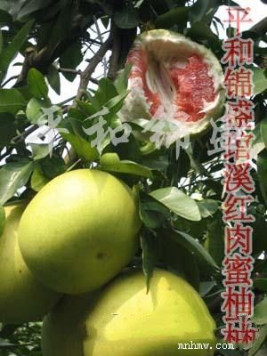 点击查看大图