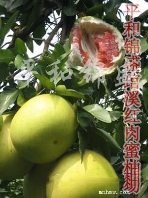 点击查看大图