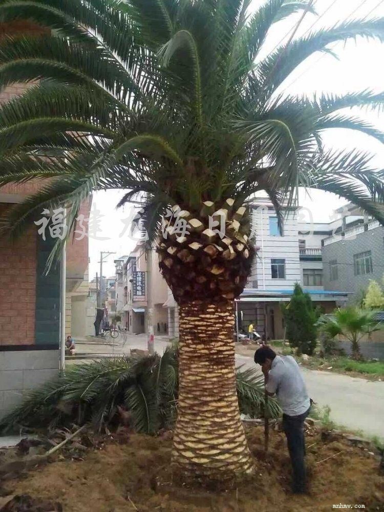 点击查看大图
