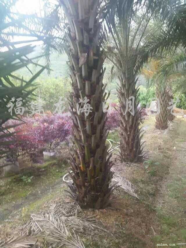 点击查看大图